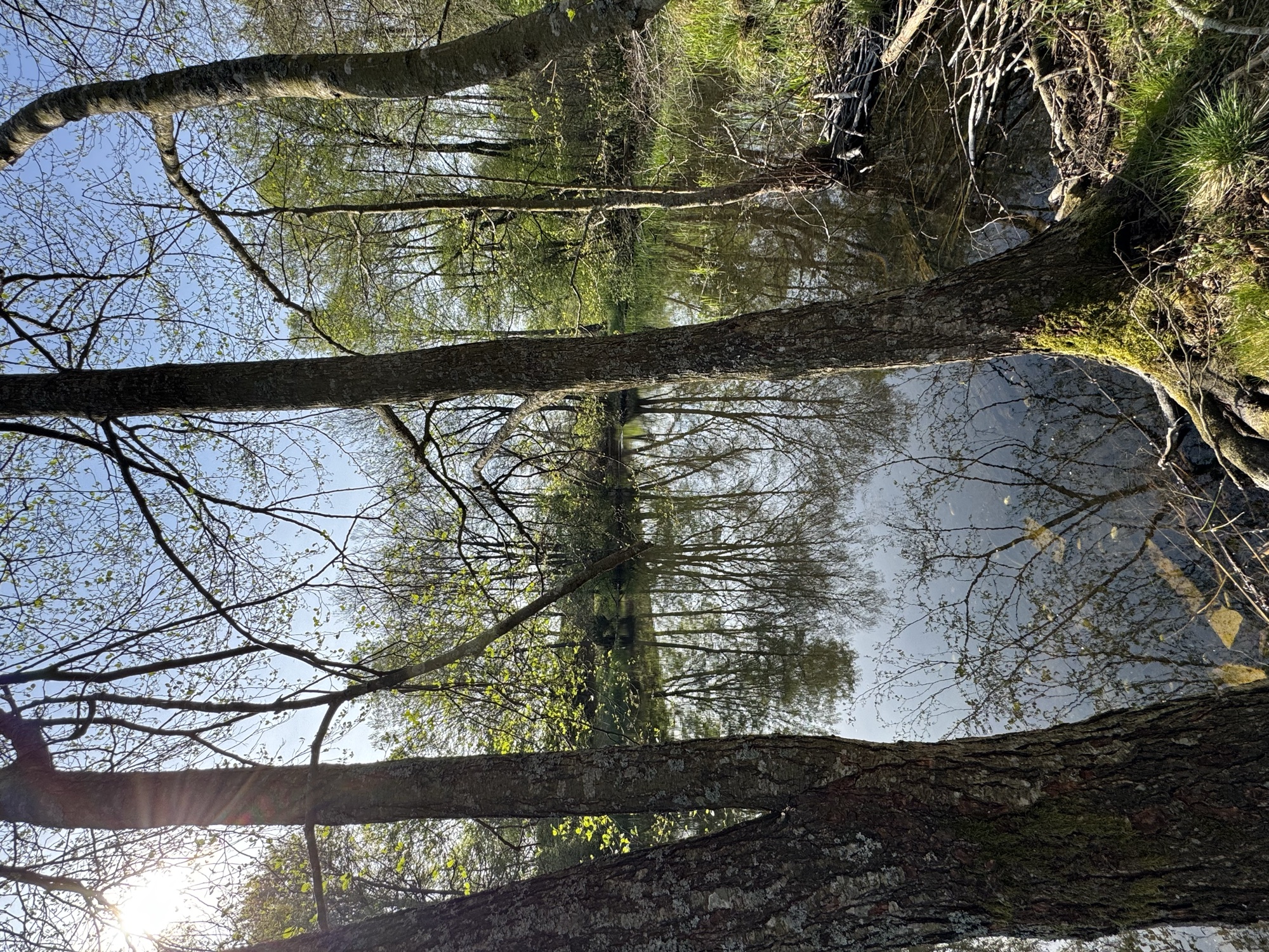 NATU ESTATE – img1